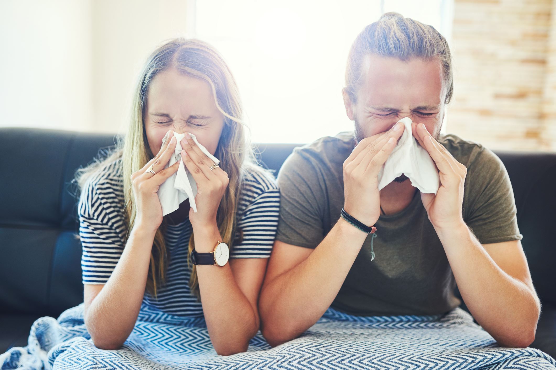 how-to-prepare-your-home-for-spring-allergies